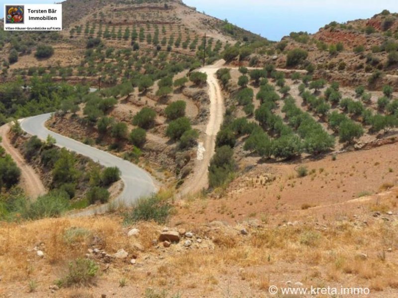 Makry-Gialos Kreta, Pefki - Makry Gialos Großes Grundstück mit Meerblick zu verkaufen! Grundstück kaufen